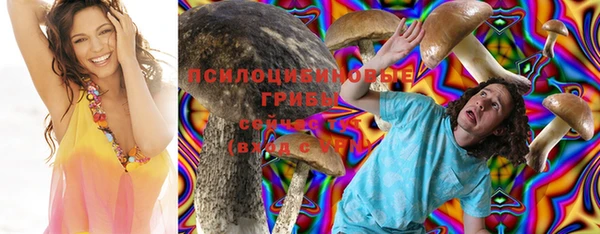 бошки Костерёво