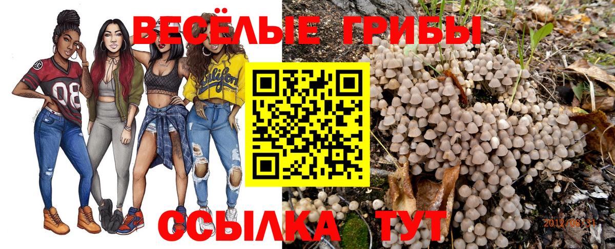 Нефтеюганск  Псилоцибиновые грибы Psilocybine cubensis  Вход с VPN  Галлюциногенные грибы Psilocybe 