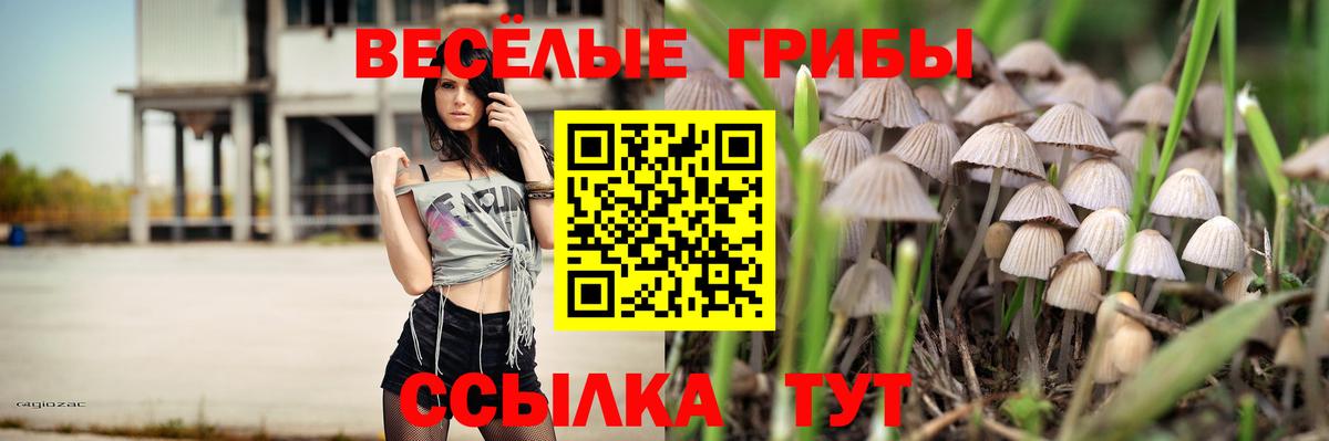 Галлюциногенные грибы Psilocybine cubensis Нефтеюганск